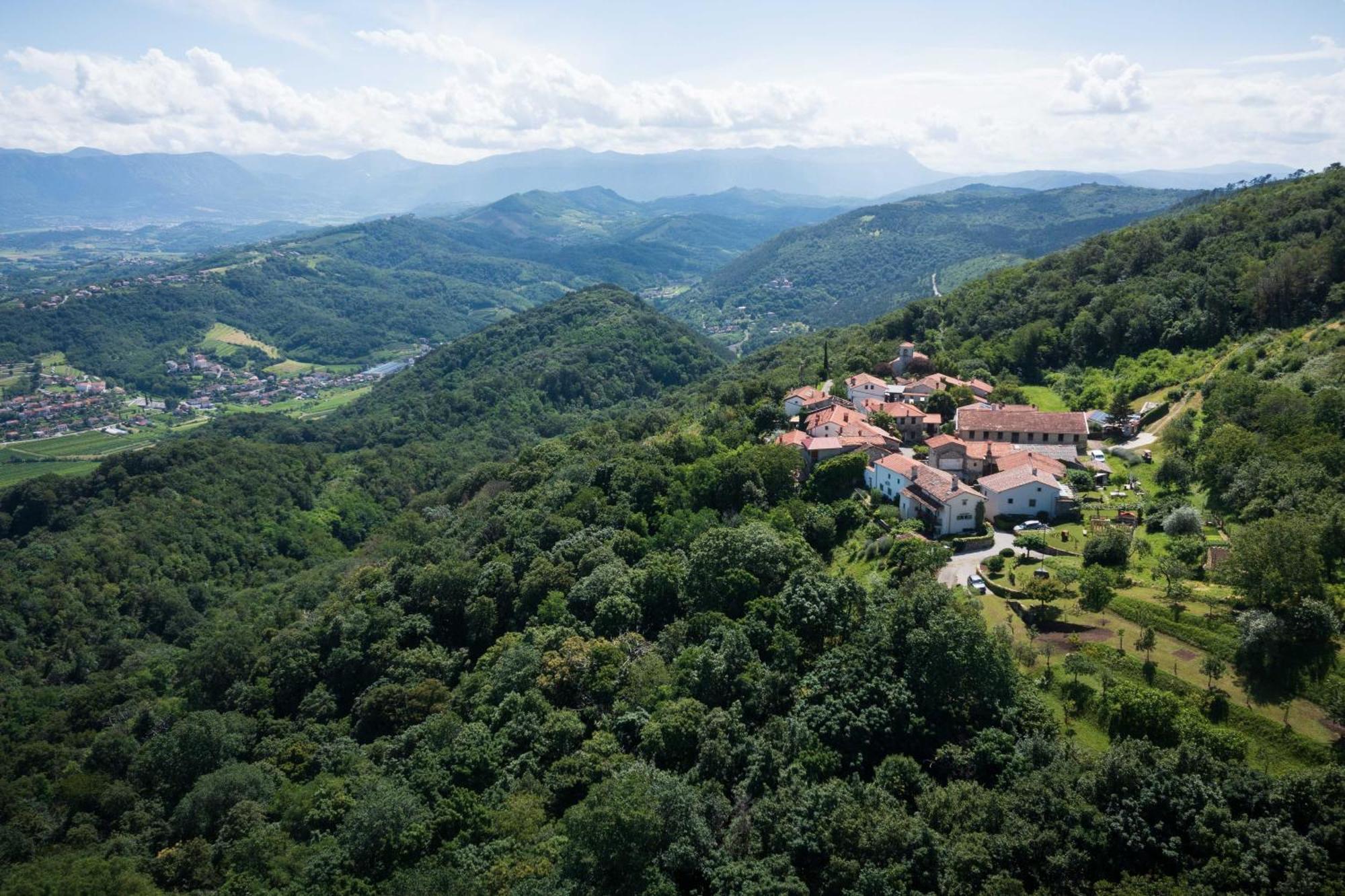 Villa Artes With Free Hot Tub & Sauna Branik Bagian luar foto